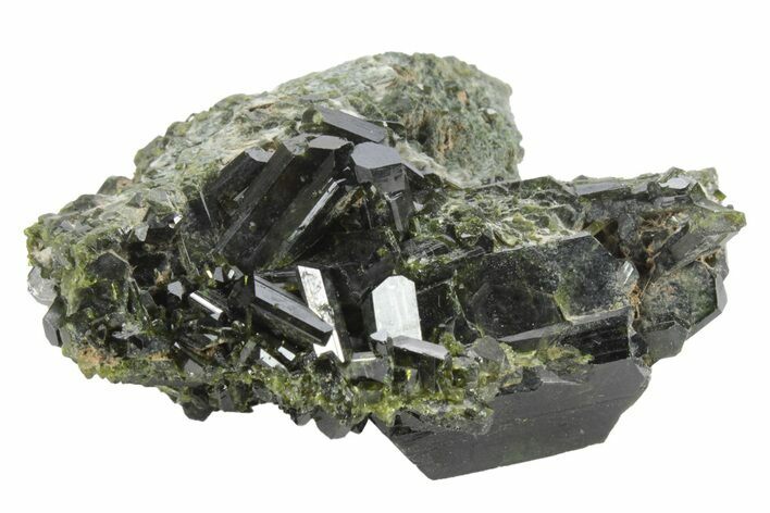 Lustrous Epidote Crystals on Actinolite - Pakistan #213453